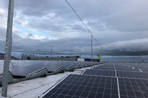 Solar Panel with Gull Netting Clean