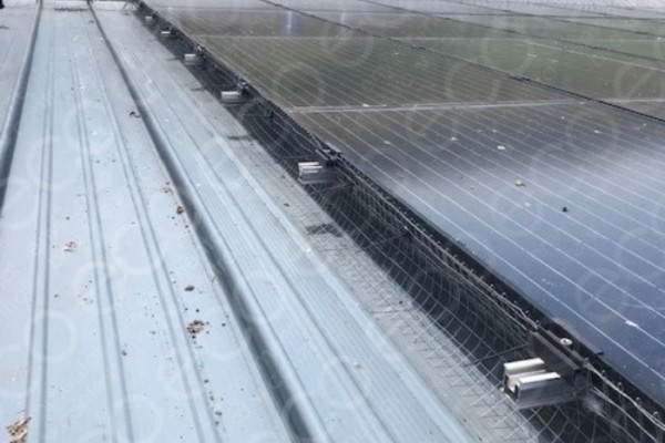 Bird Mesh Installed to PV Panels using Non-Penetrating Clips 