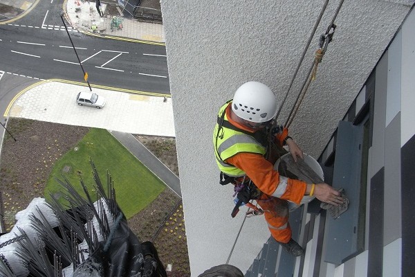 Installation of Bird Spikes by our Industrial Rope Access and Abseiling Team