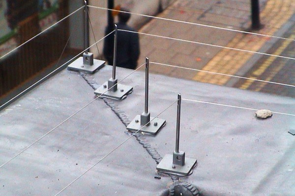 Pigeon Deterrents: Tensioned Bird Wire Systems