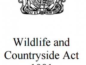 General Licences - Wildlife and Countryside Act 1981 