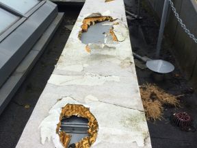 Damage to Roof Top Plant