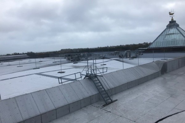 19mm Bird Netting installed in line with HSE recommendations protecting this recent roof refurbishment