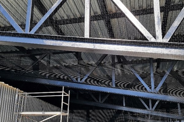 50mm Bird Netting with Example Scaffold Tower