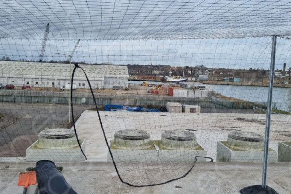 Access Point to Roof within Netting