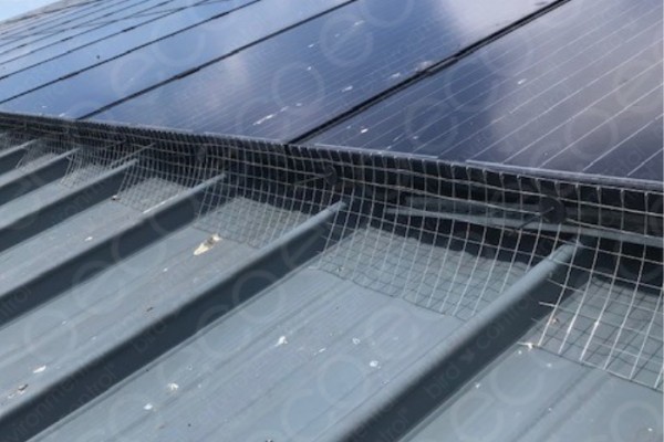 Bird Mesh Installed to Perimeter of the PV Panels 