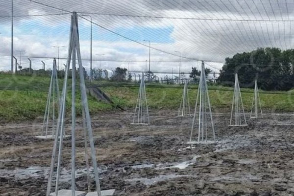 Close-Up of Netting Posts and Support Bases