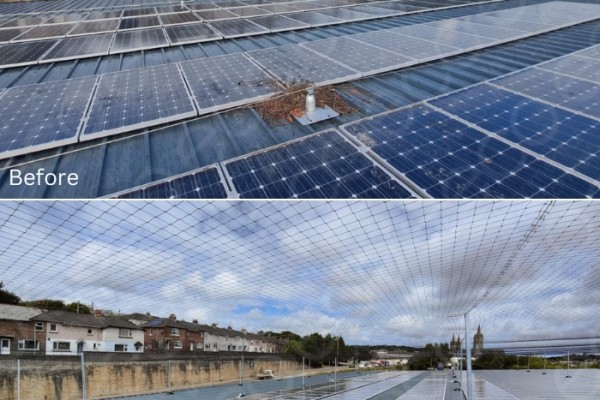 Netting System Installation to Solar PV Panels After Nesting Season