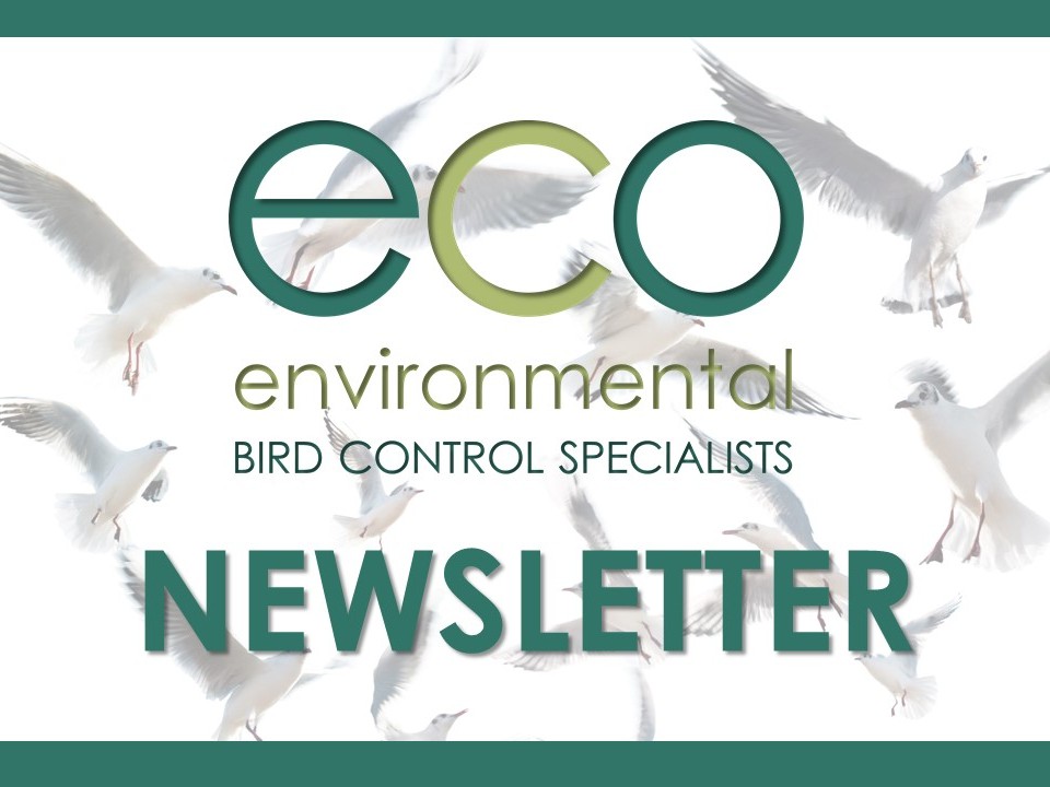 Bird Deterrent Solutions Newsletter