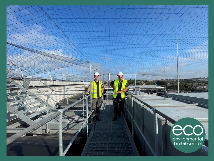 Our team signing off on Plymouth Life Centre Bird Netting Installation