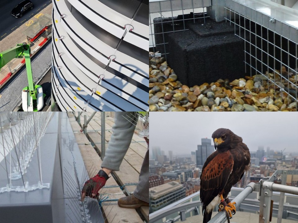 Examples of Bird Deterrent Solutions