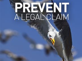 Protect your building from aggressive birds and perhaps prevent a legal claim as well