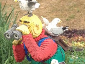 Seagull hazard at Legoland