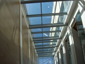 Seagull Deterrent Systems for new ILS2 building at Swansea University