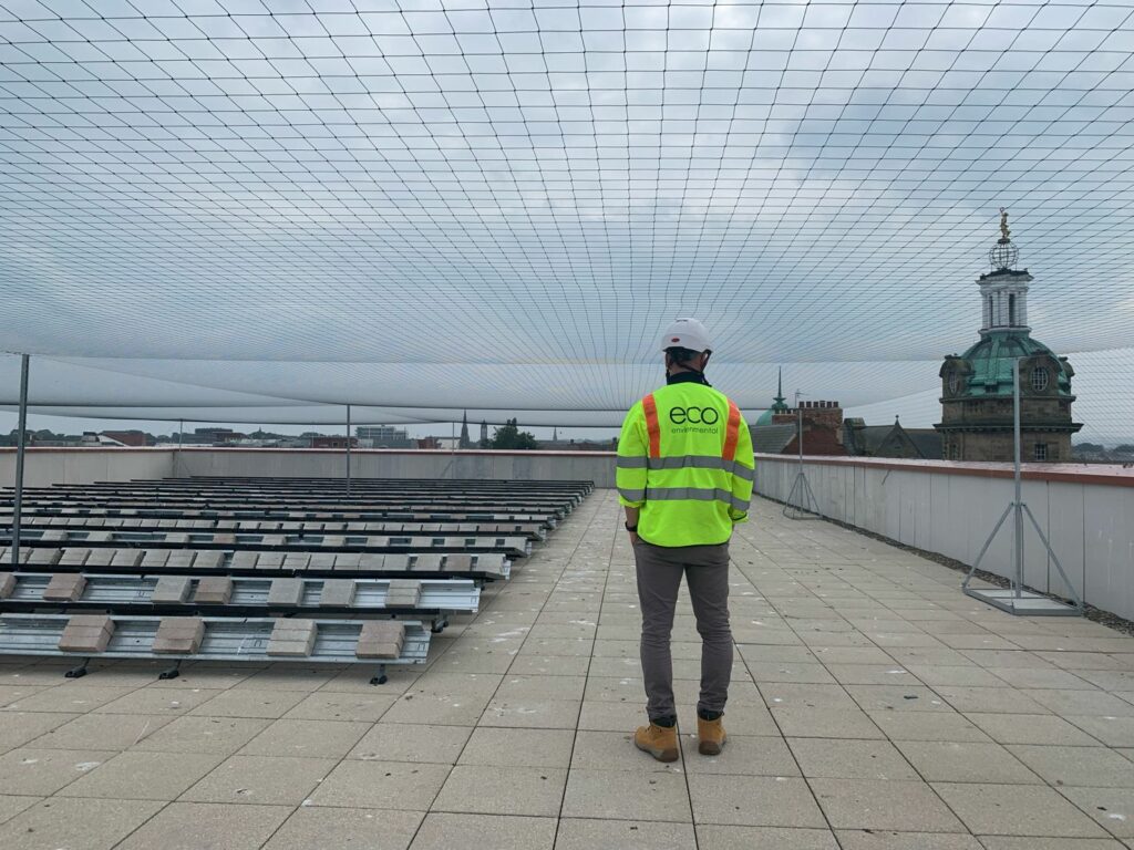 Solar And Rooftop Bird Protection