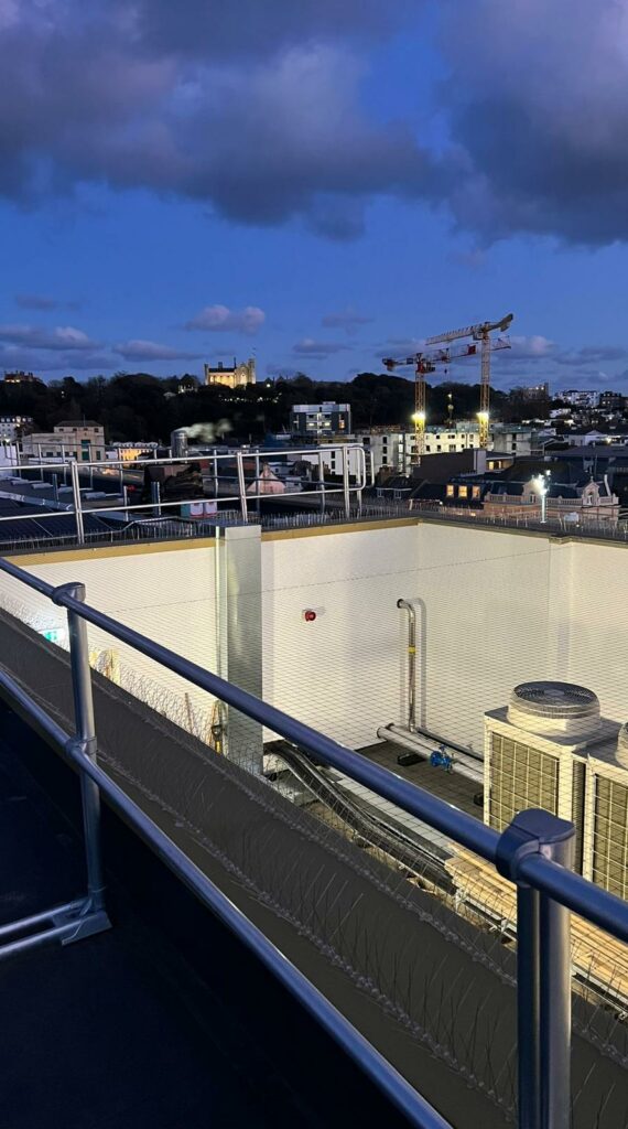 View of Plant Area with Bird Netting Covering the Top
